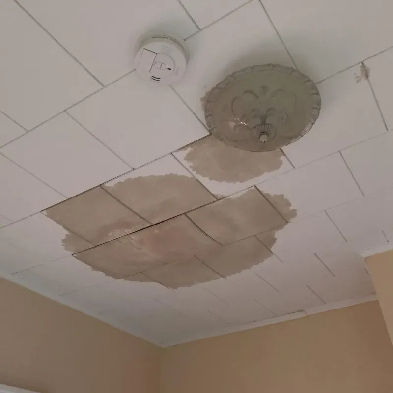 Ceiling Water Damage Repair in Angola on the Lake, NY