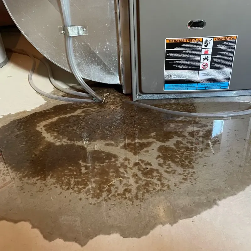 Pipe Burst and Leak Restoration in Angola on the Lake, NY